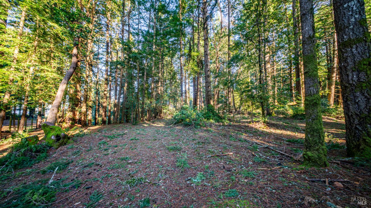 17470 Willow Creek Road