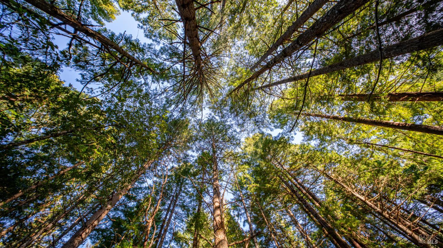 17470 Willow Creek Road