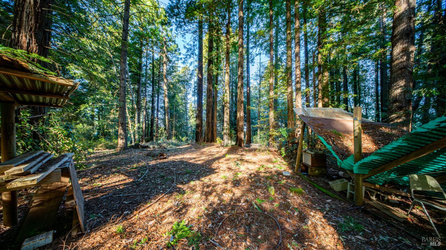 17470 Willow Creek Road