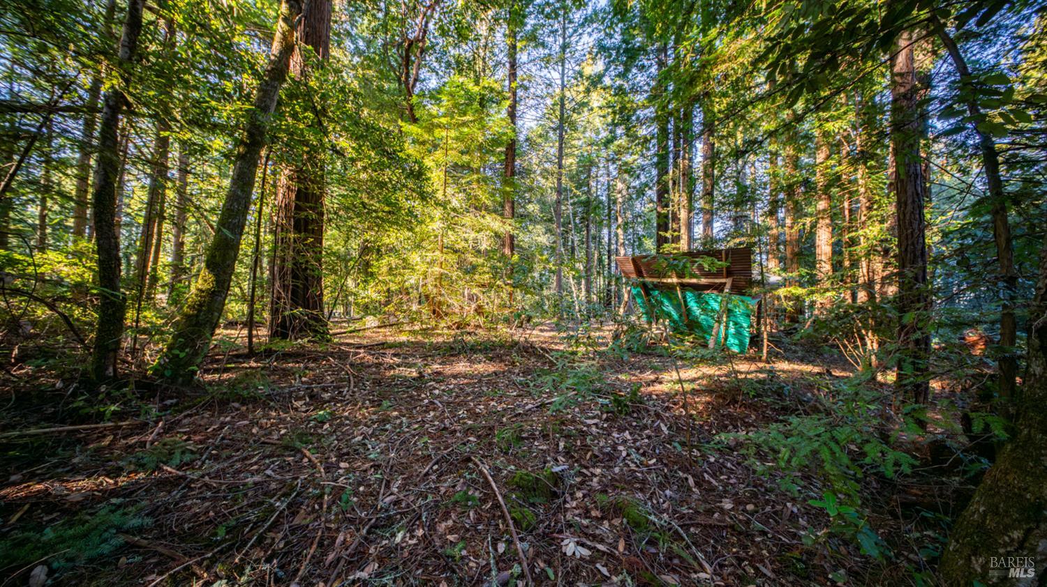 17470 Willow Creek Road