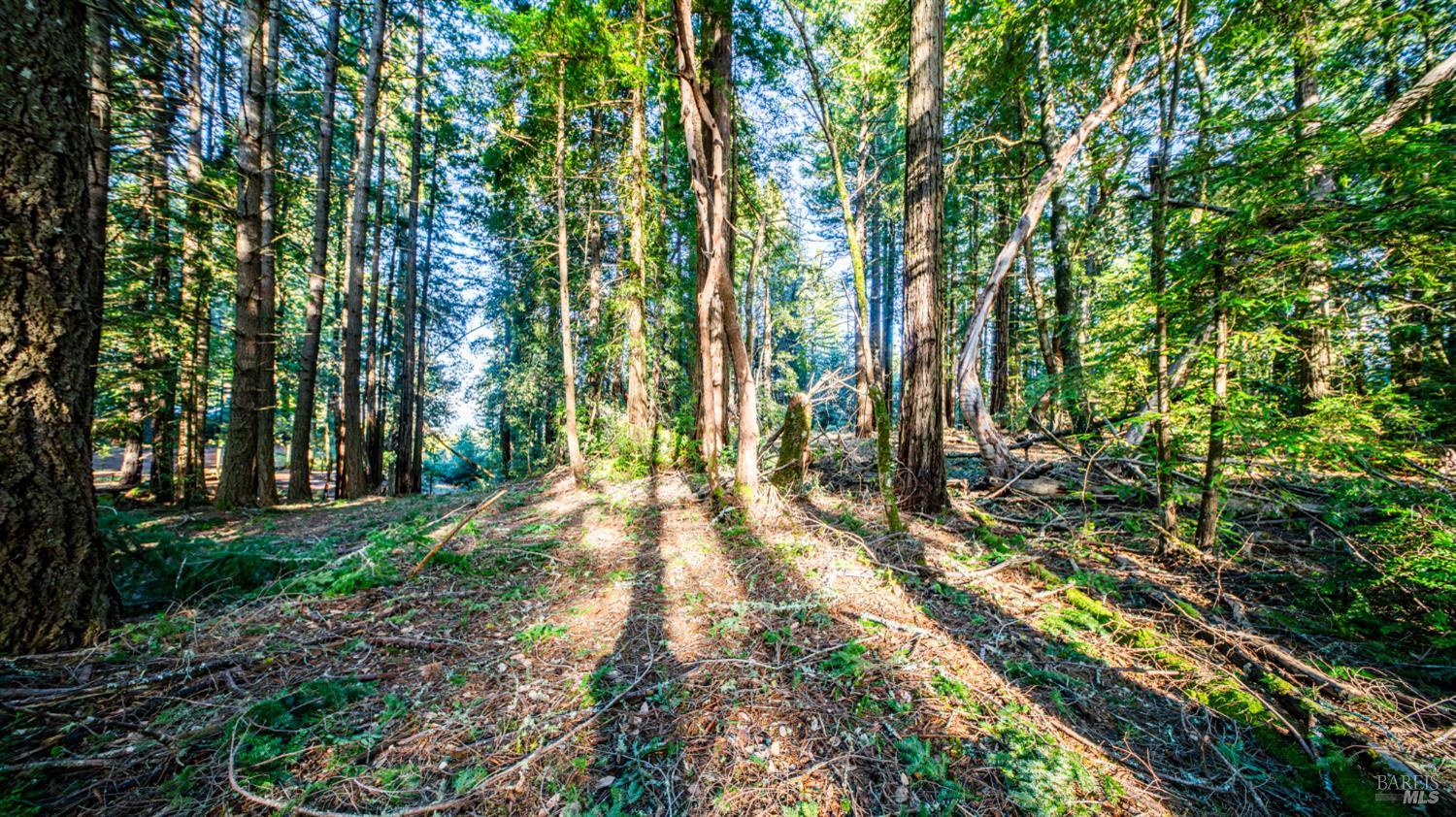 17470 Willow Creek Road