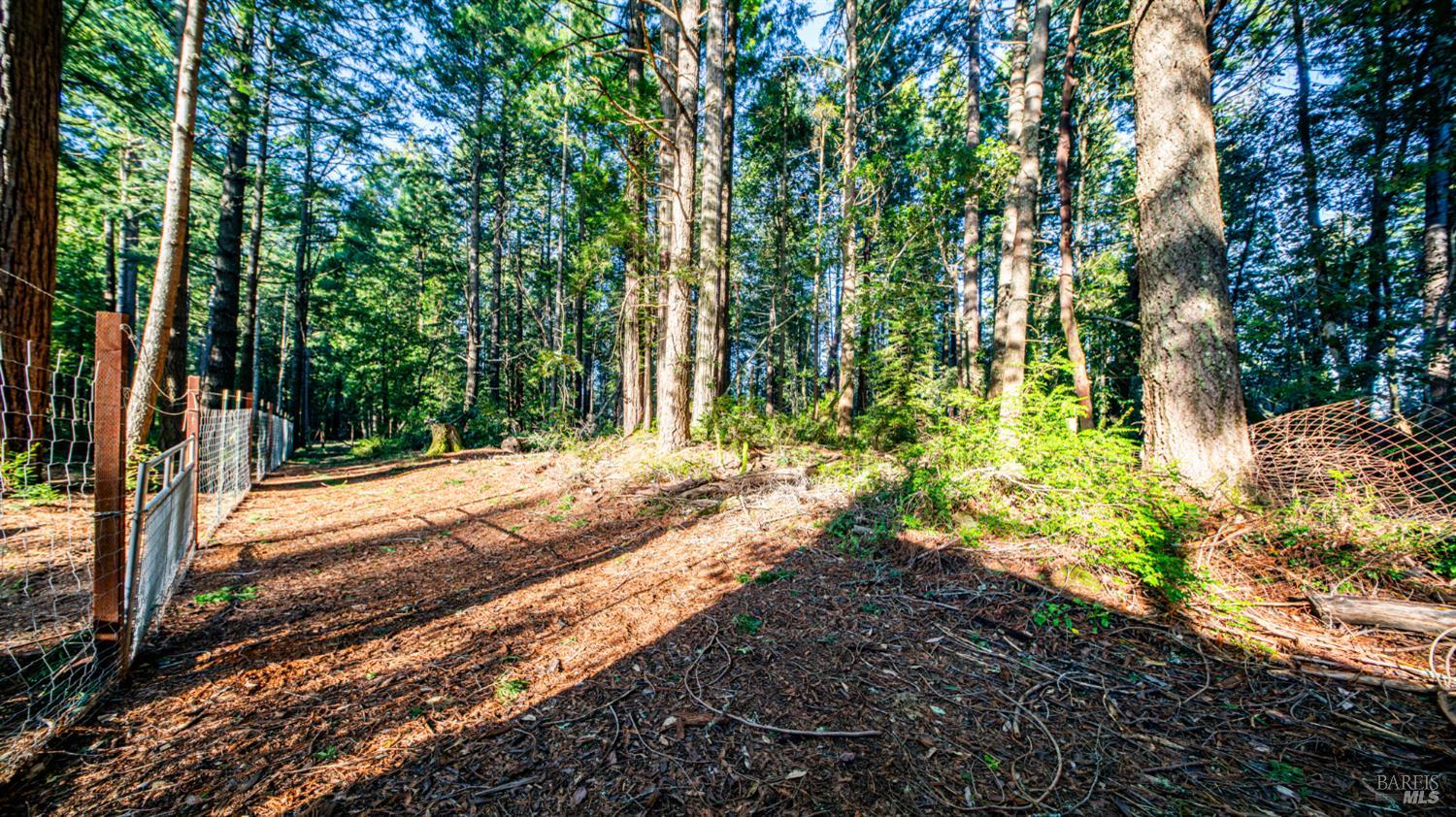 17470 Willow Creek Road