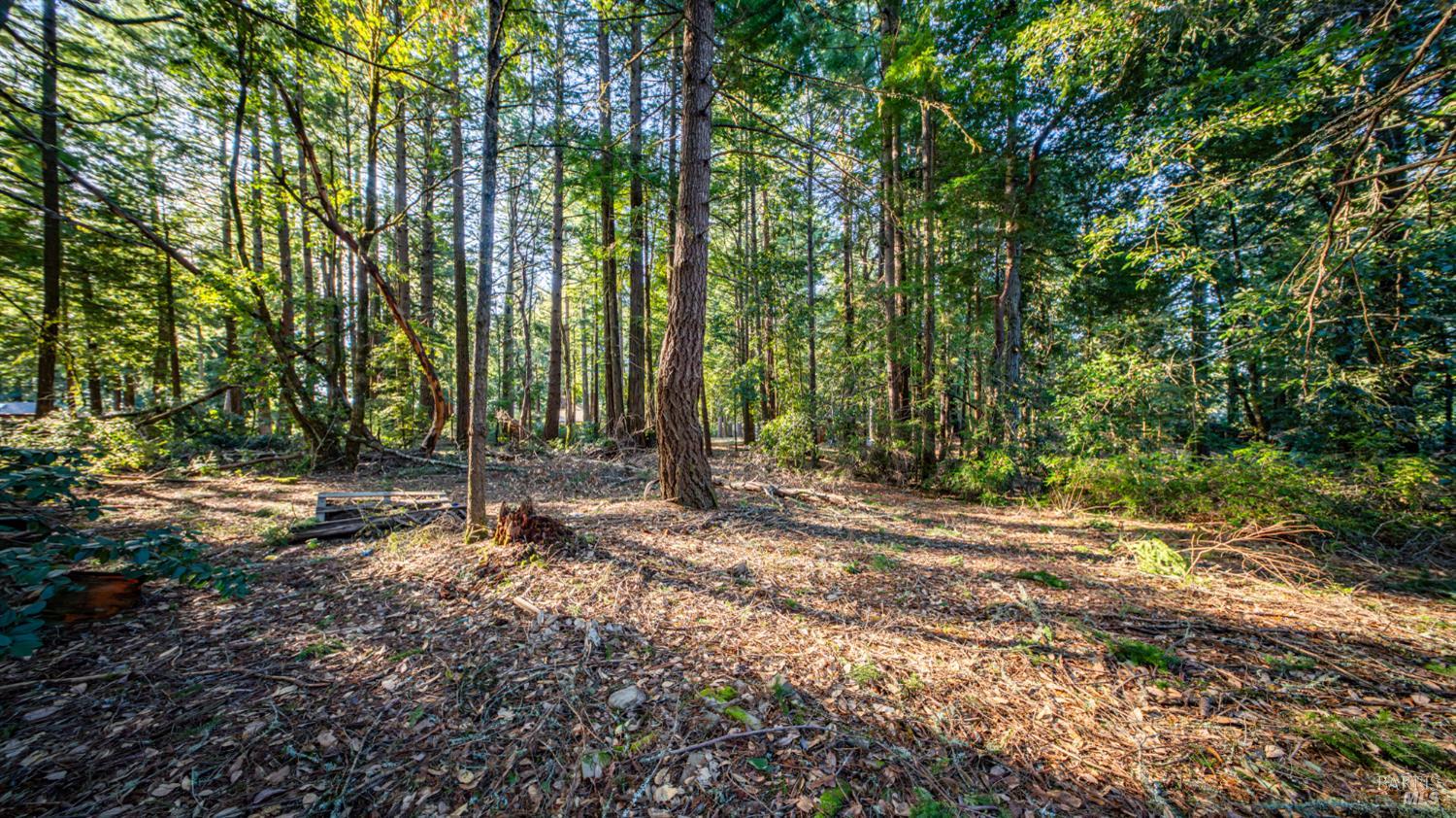 17470 Willow Creek Road