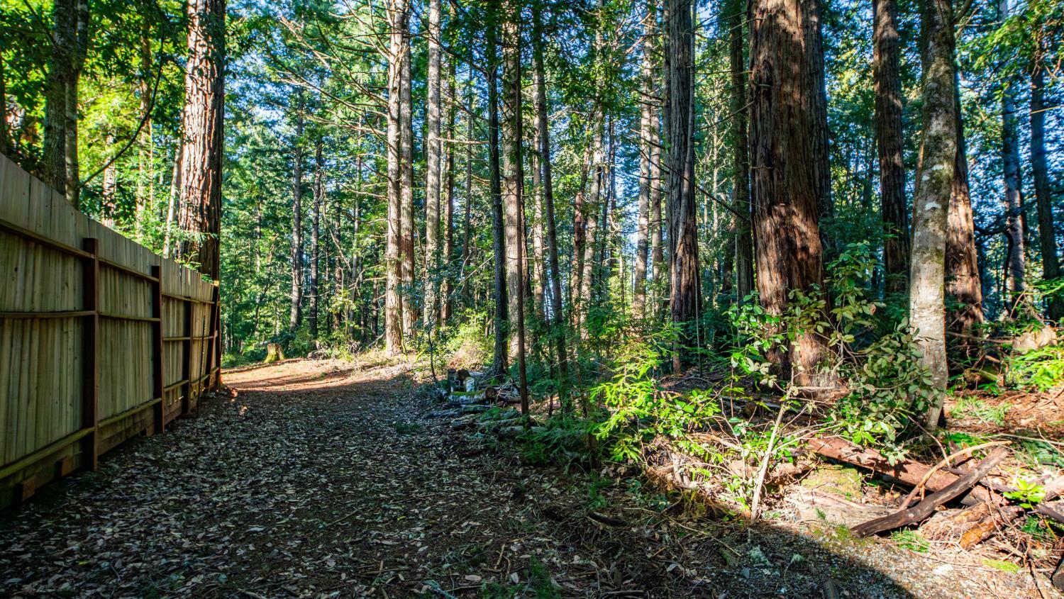 17470 Willow Creek Road