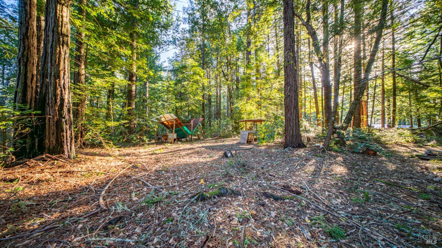 17470 Willow Creek Road