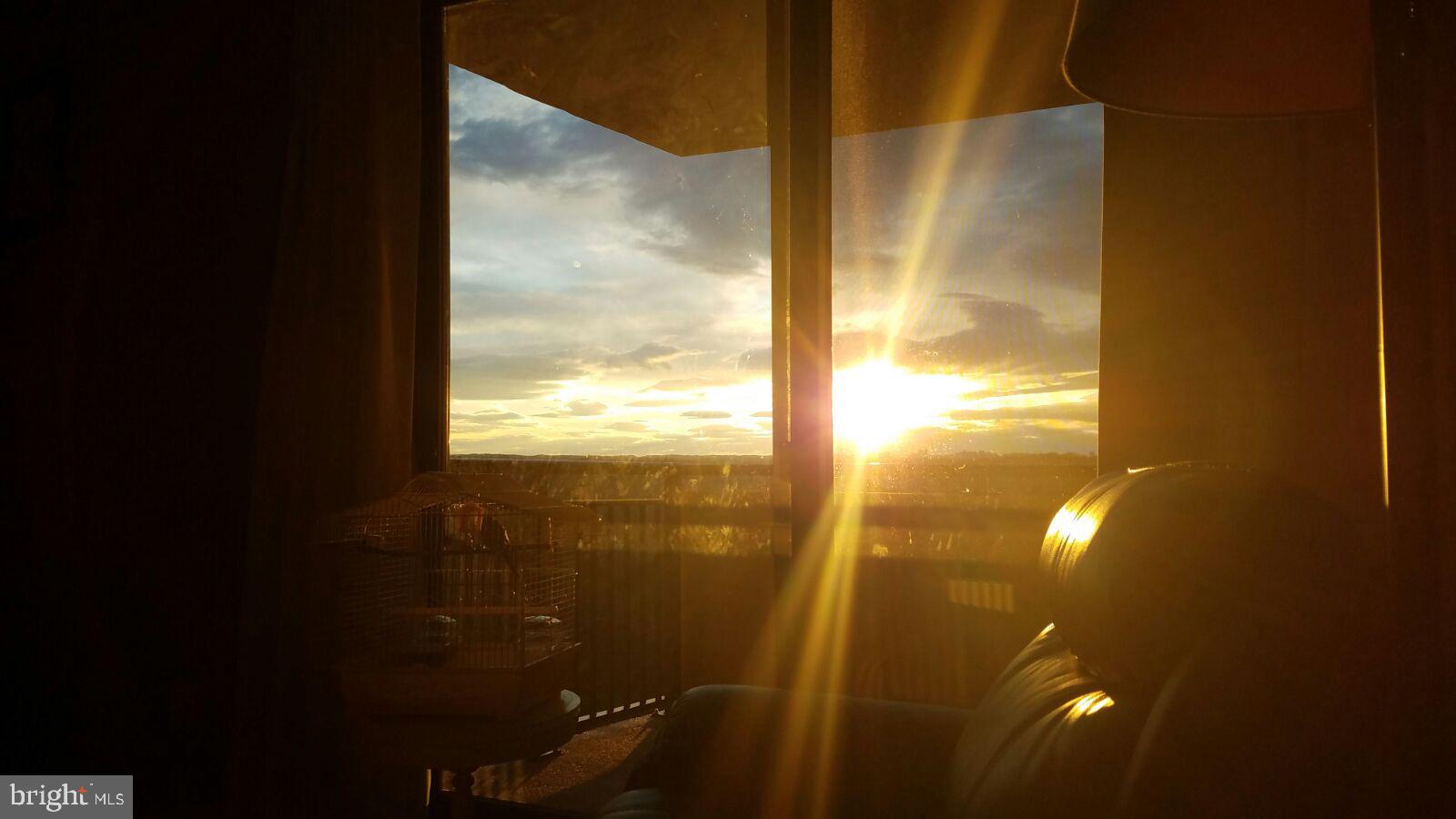 4620 N Park Ave #1106e