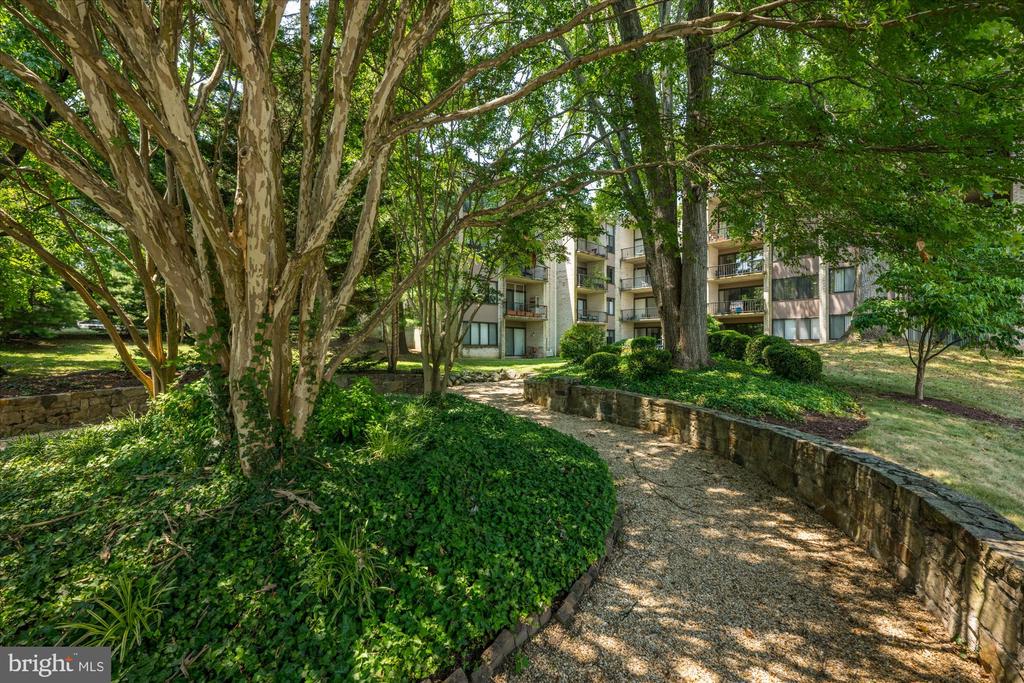 10853 Amherst Ave #201