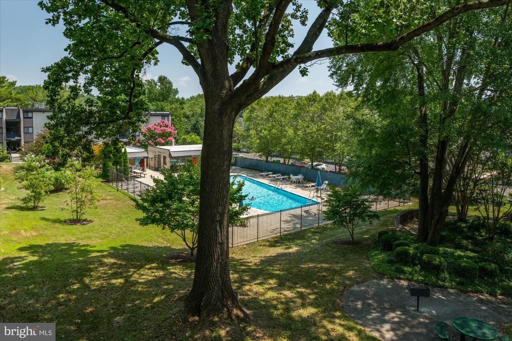 10853 Amherst Ave #201