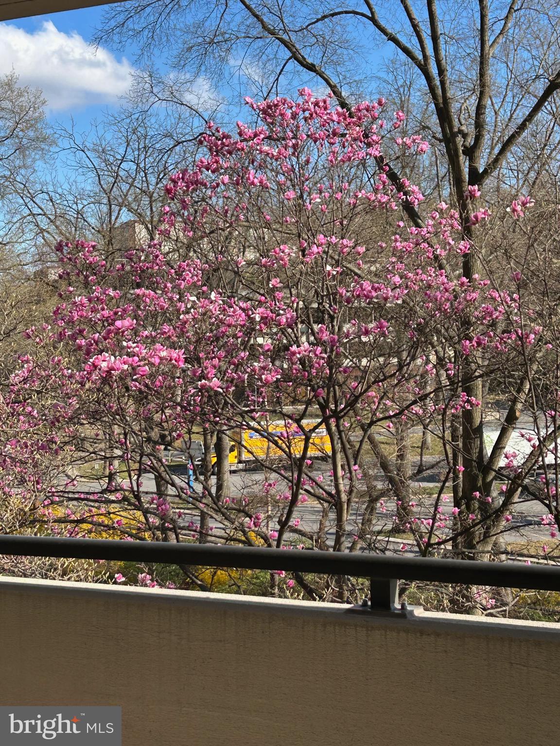 4620 N PARK AVENUE 305W