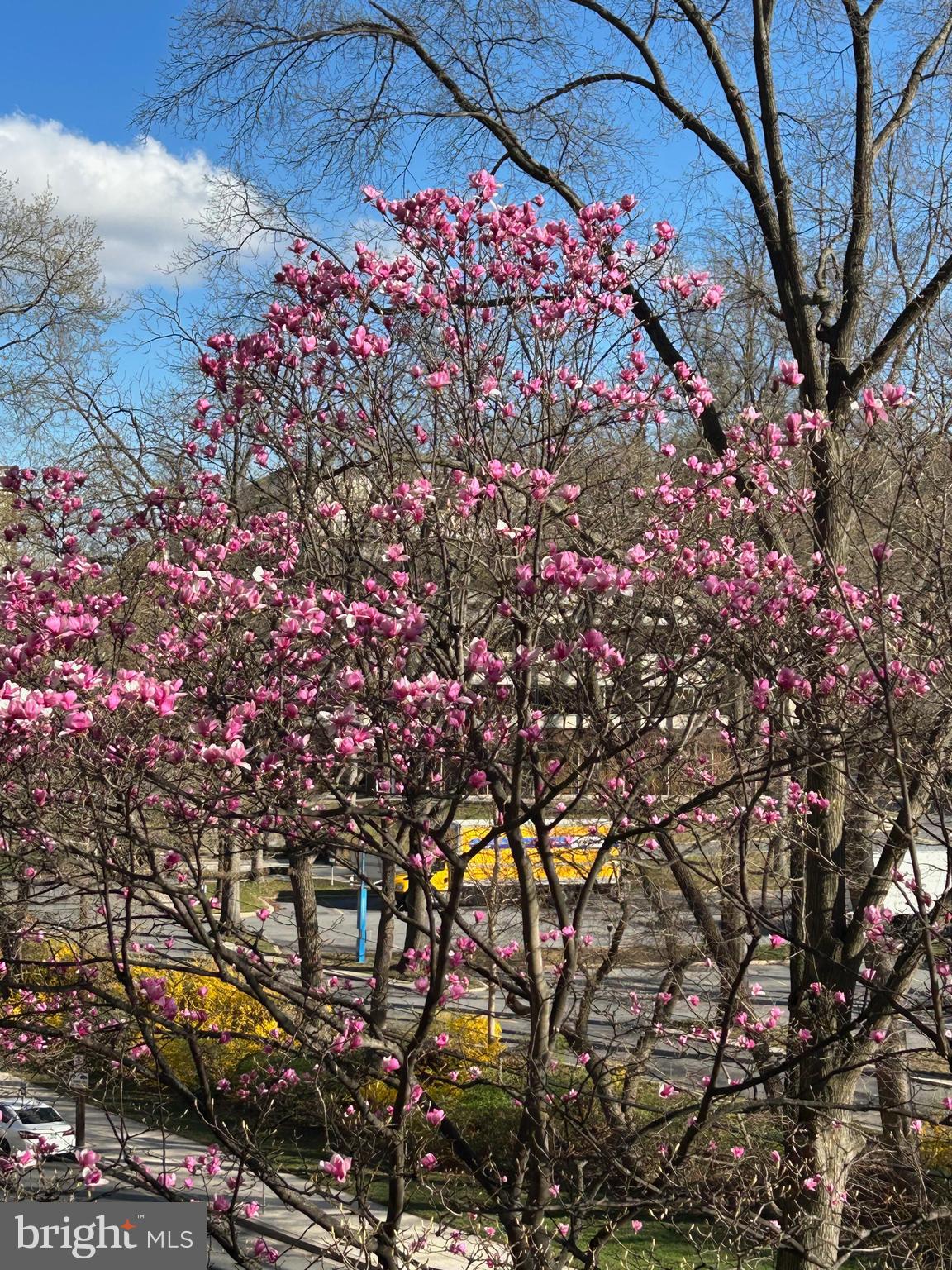 4620 N PARK AVENUE 305W