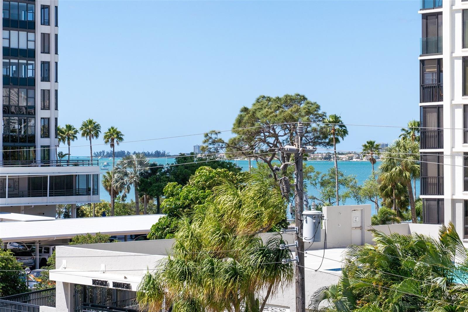 711 S PALM AVE #302