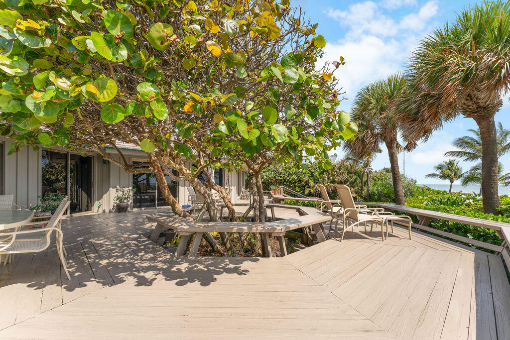 Coastal home deck with lounge chairs, leafy shade trees, palm trees, and a glimpse of ocean.
