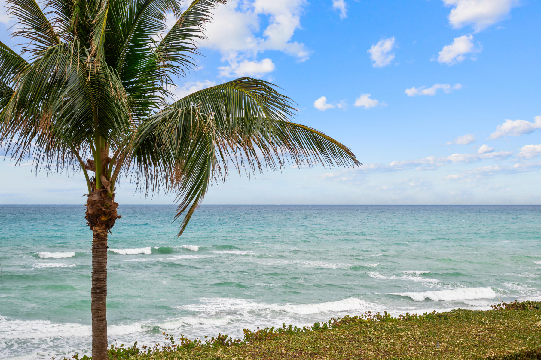 221 Ocean Grande Boulevard 507