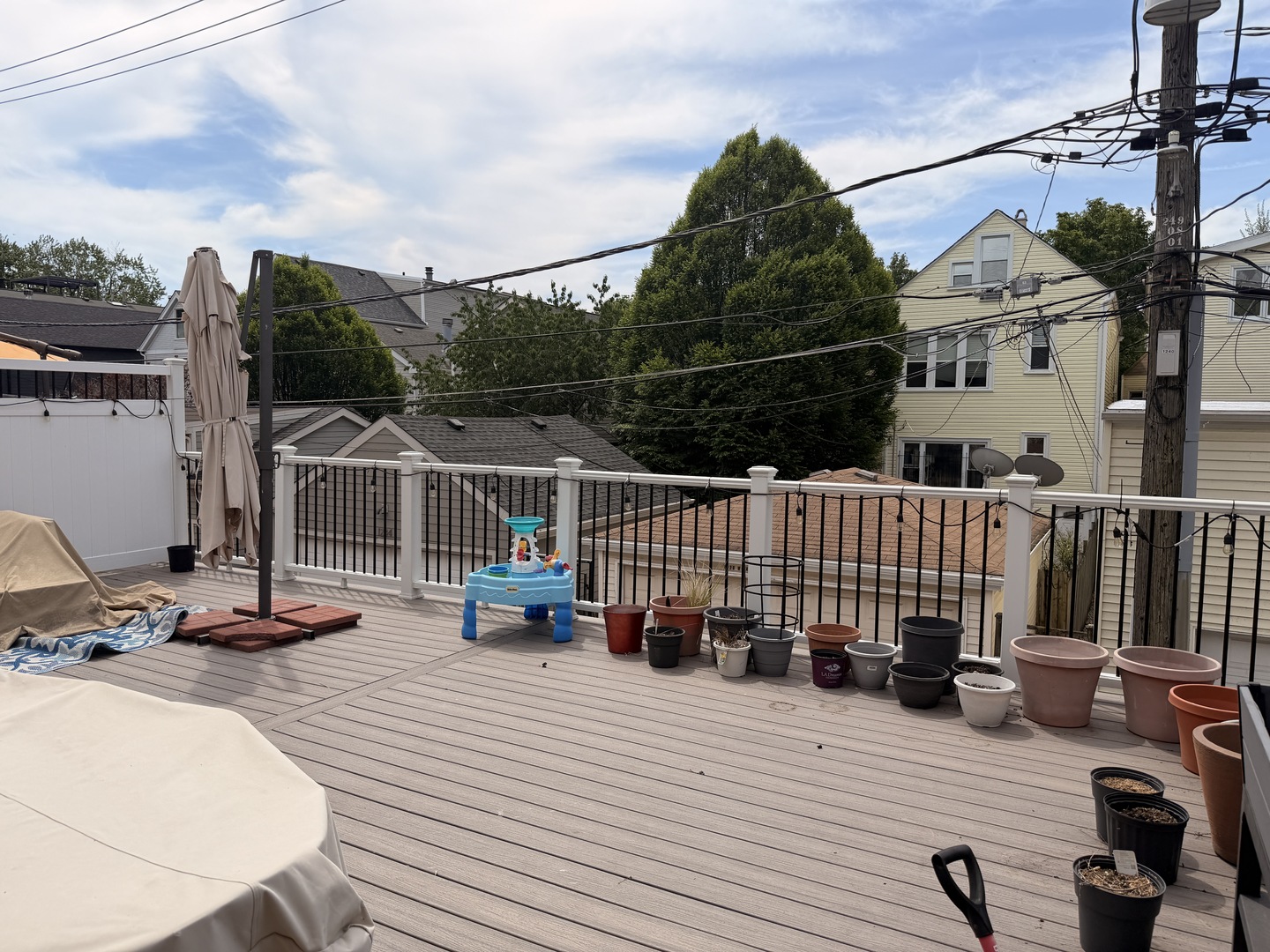 1241 W FLETCHER Street Unit: D