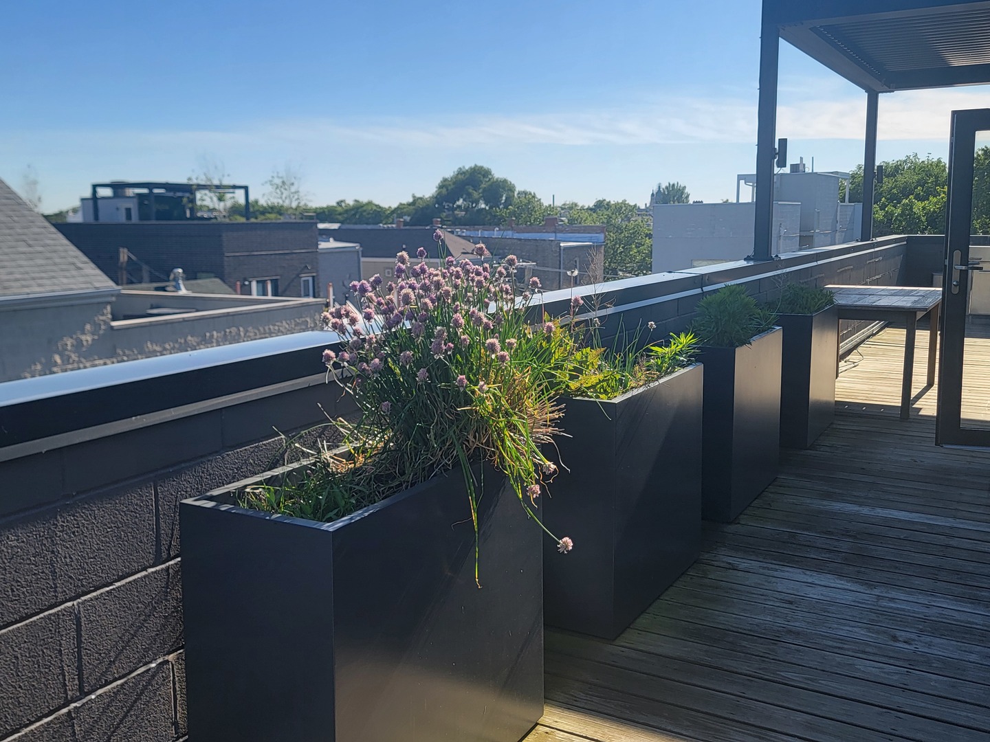 1018 N wood Street Unit: 3