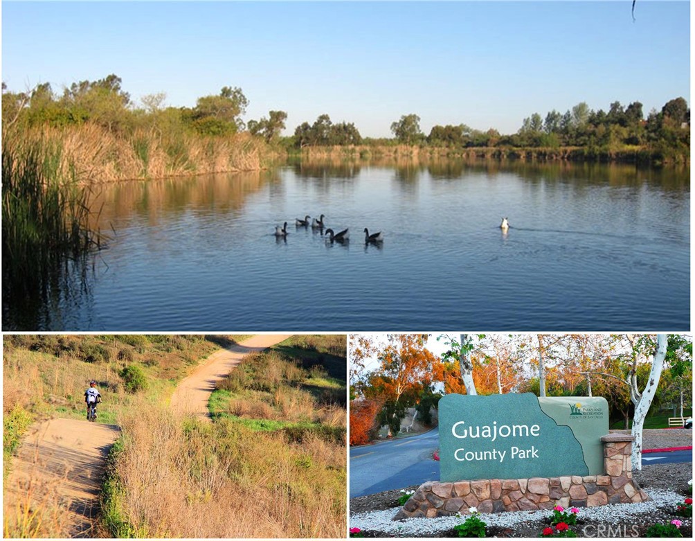 5572 Thoroughbred Street