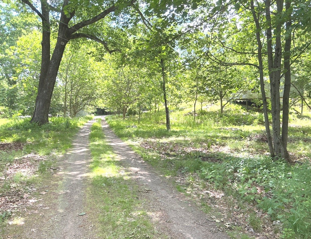 339 Anglewood Drive
