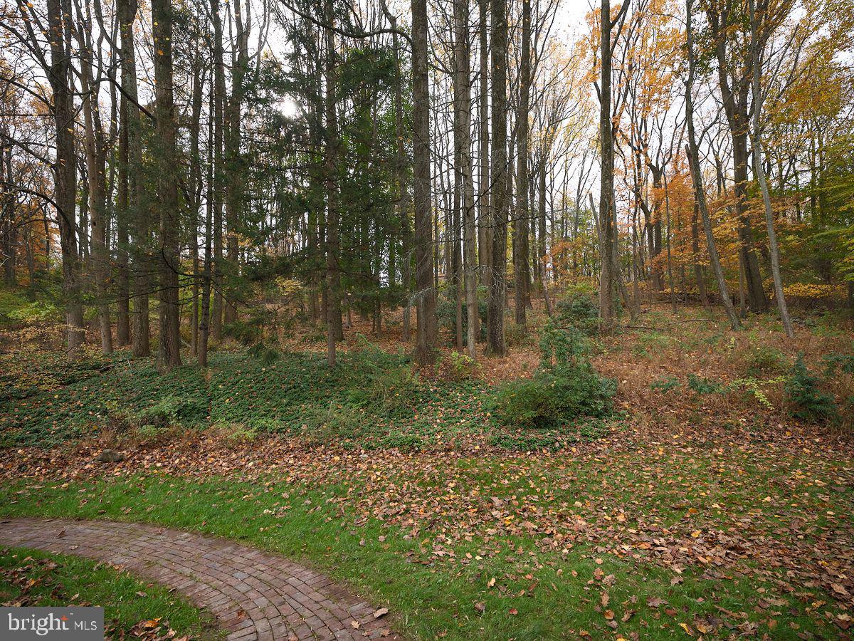 11 Solebury Mountain Rd
