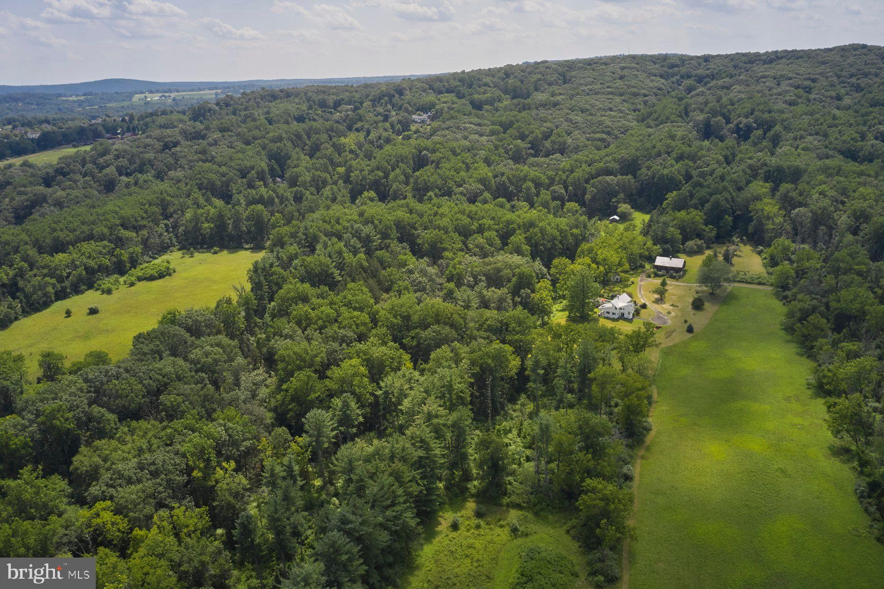 529 KINTNER ROAD