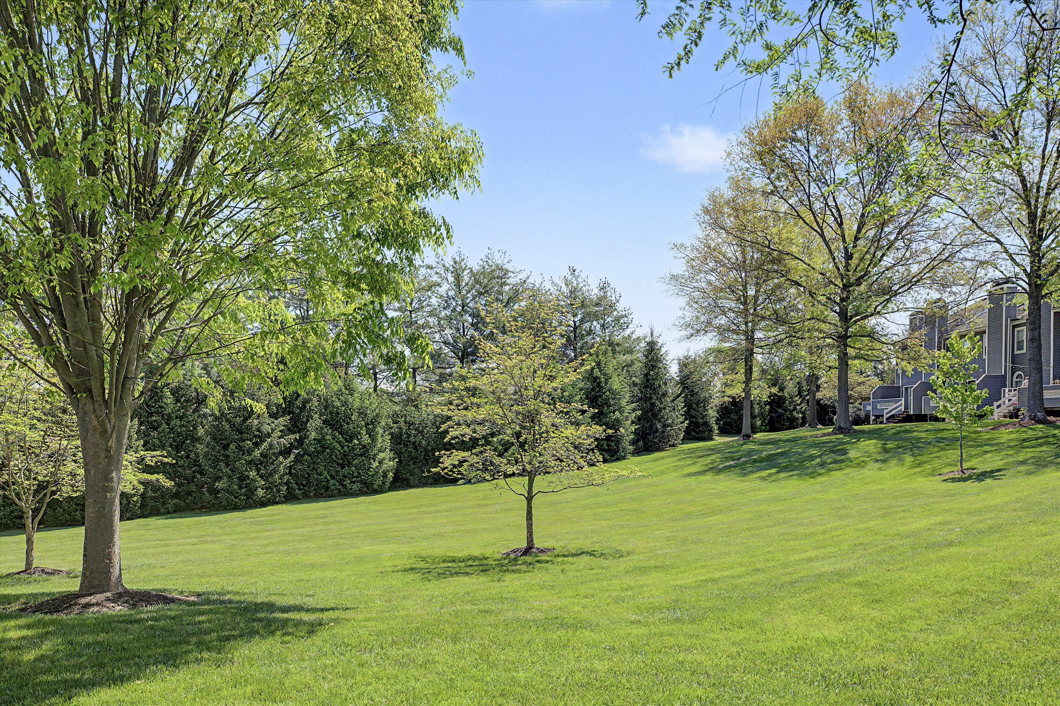 117 Greenbrook Court 