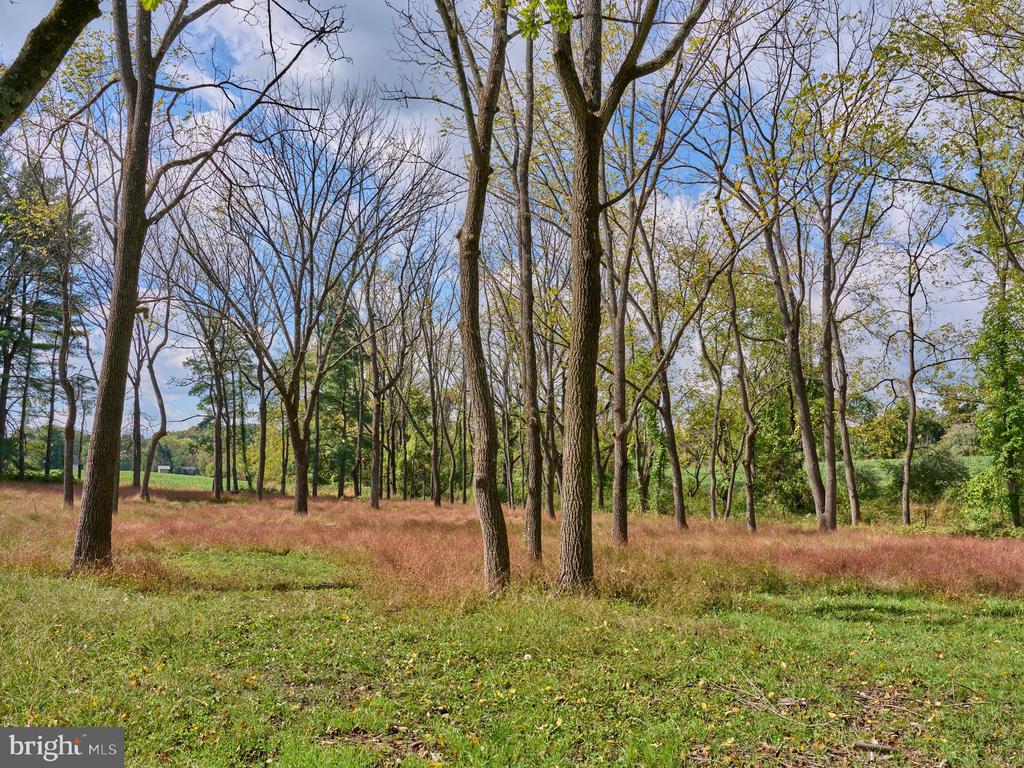 6321 SAW MILL ROAD