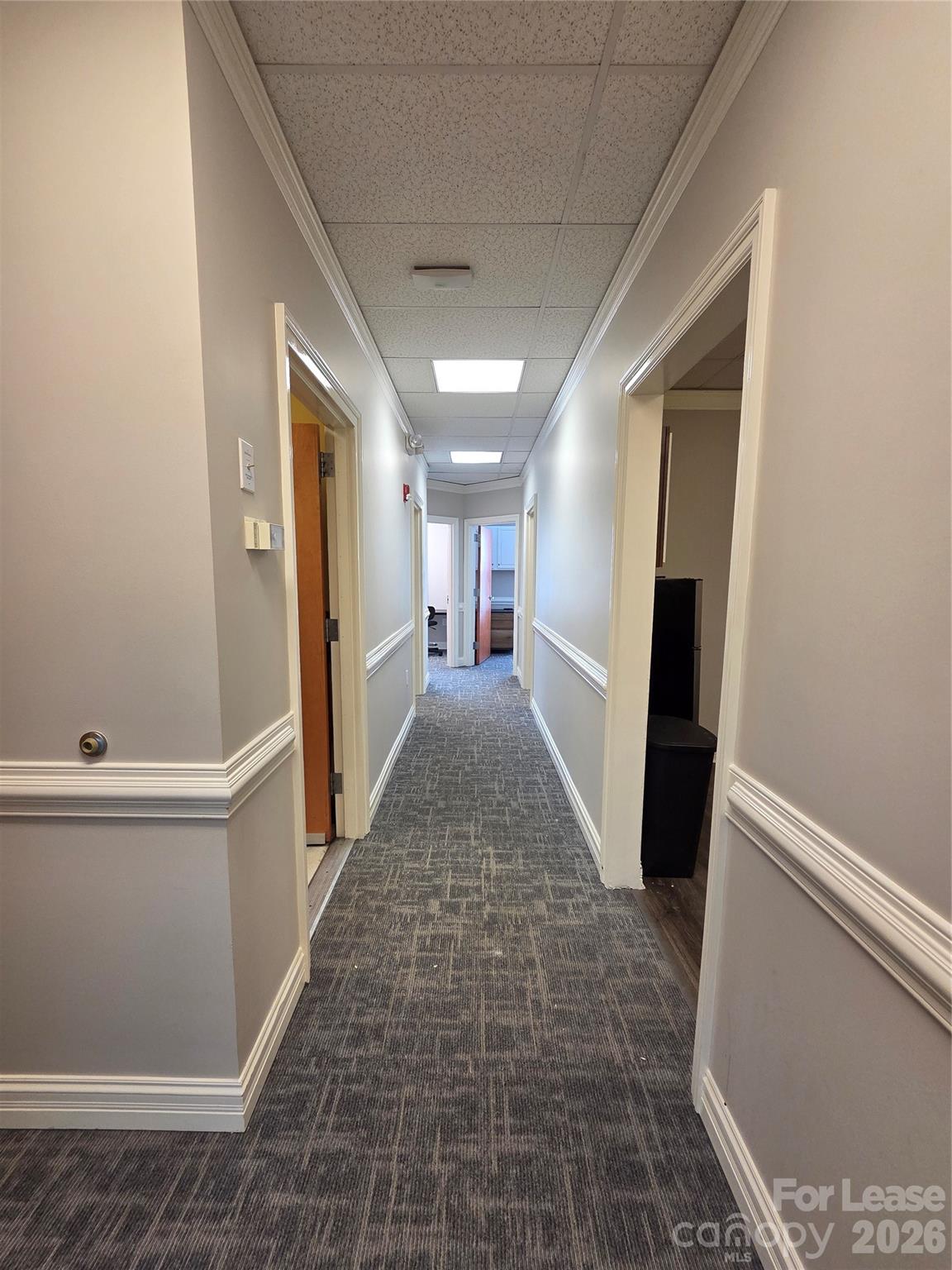 3121 Springbank Lane