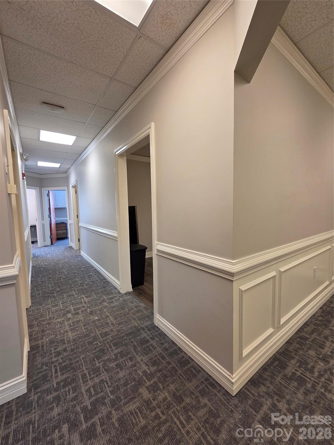 3121 Springbank Lane