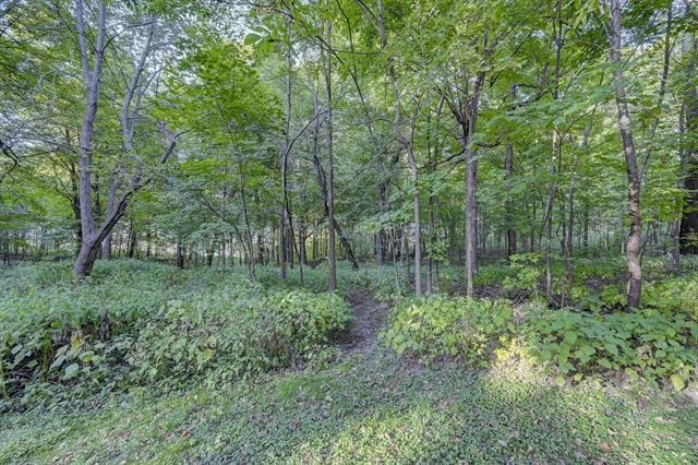 Lot 1 Wolf Road