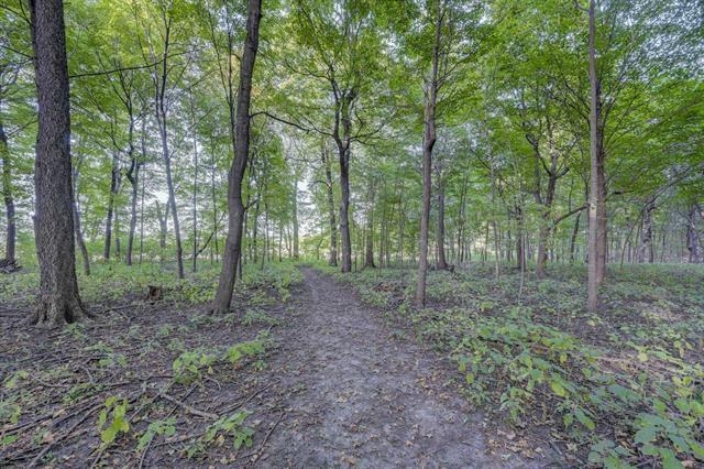 Lot 1 Wolf Road