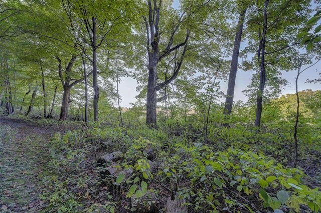 Lot 1 Wolf Road