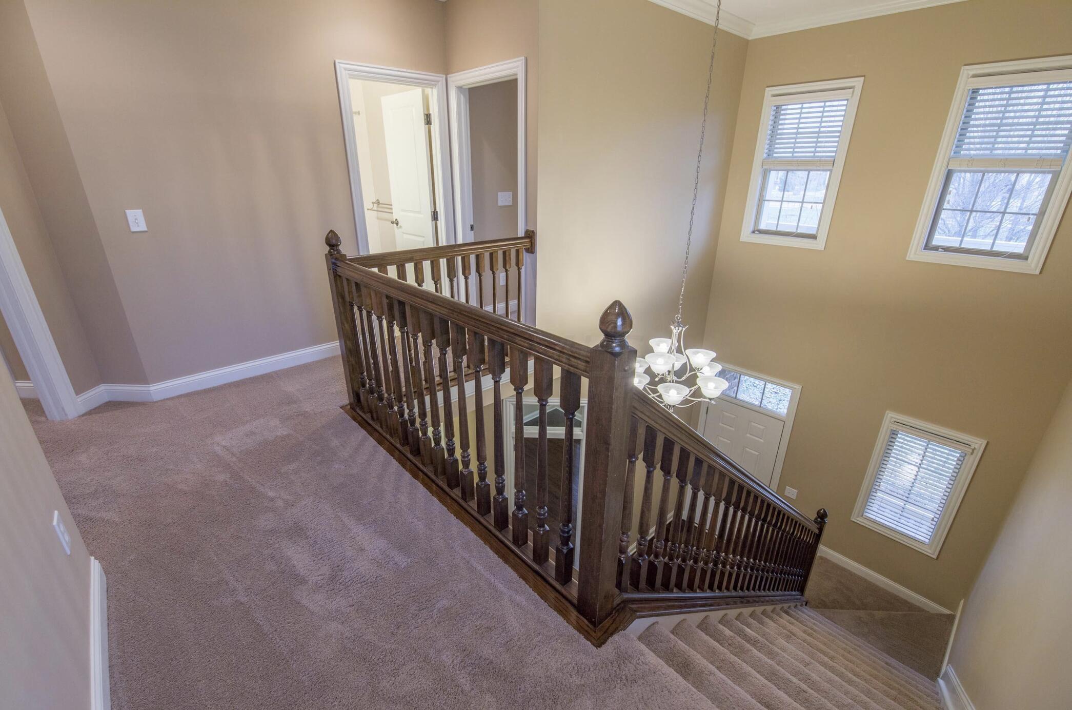 4223 Tuller Ridge Drive