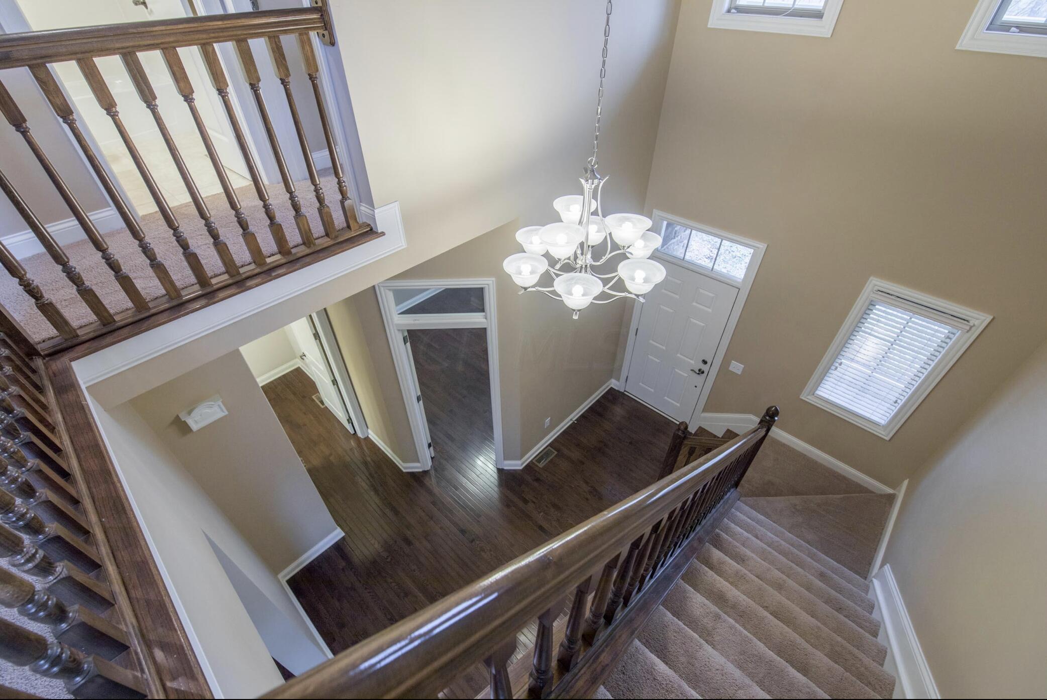 4223 Tuller Ridge Drive