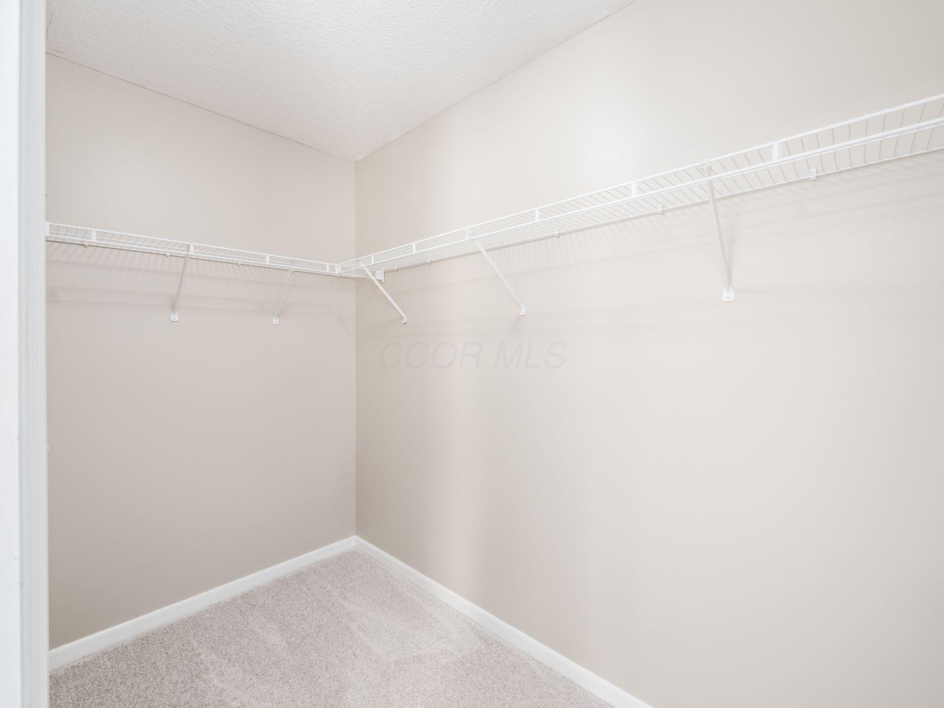 7817 Polo Lane