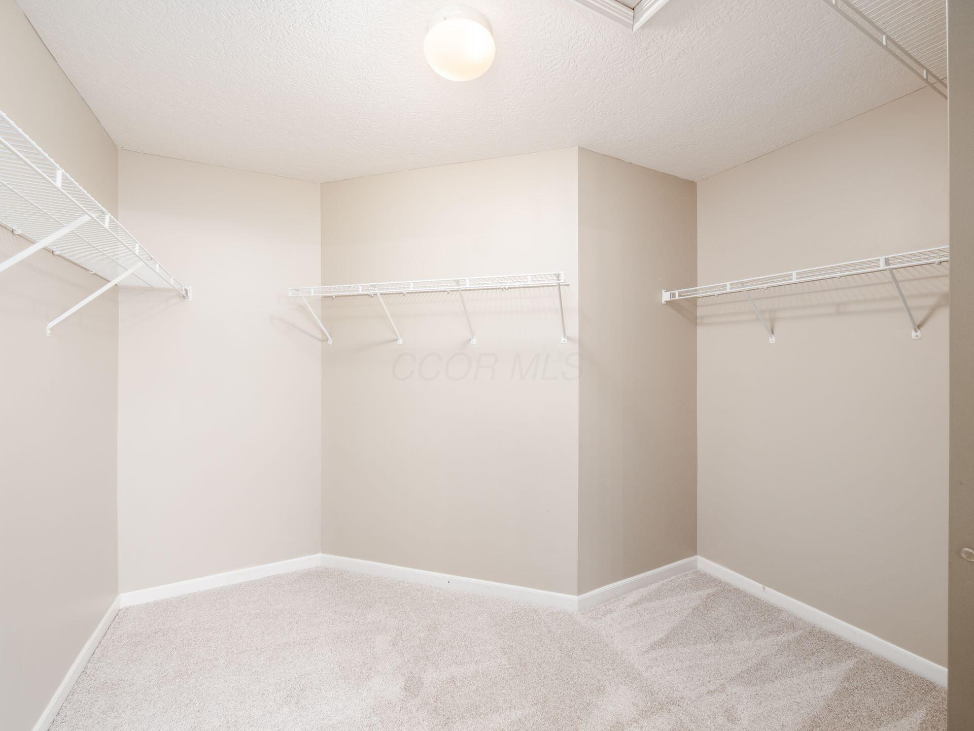 7817 Polo Lane