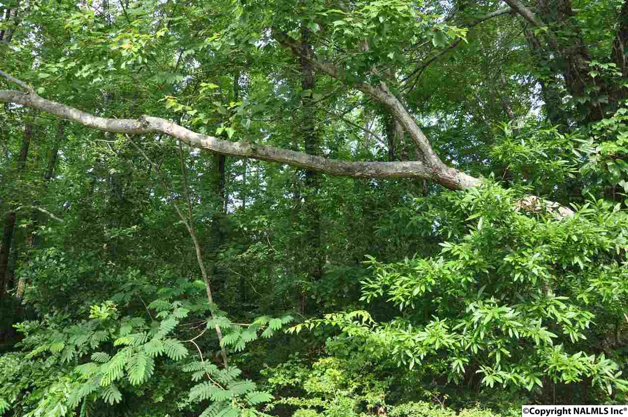 19 acres 12th Street