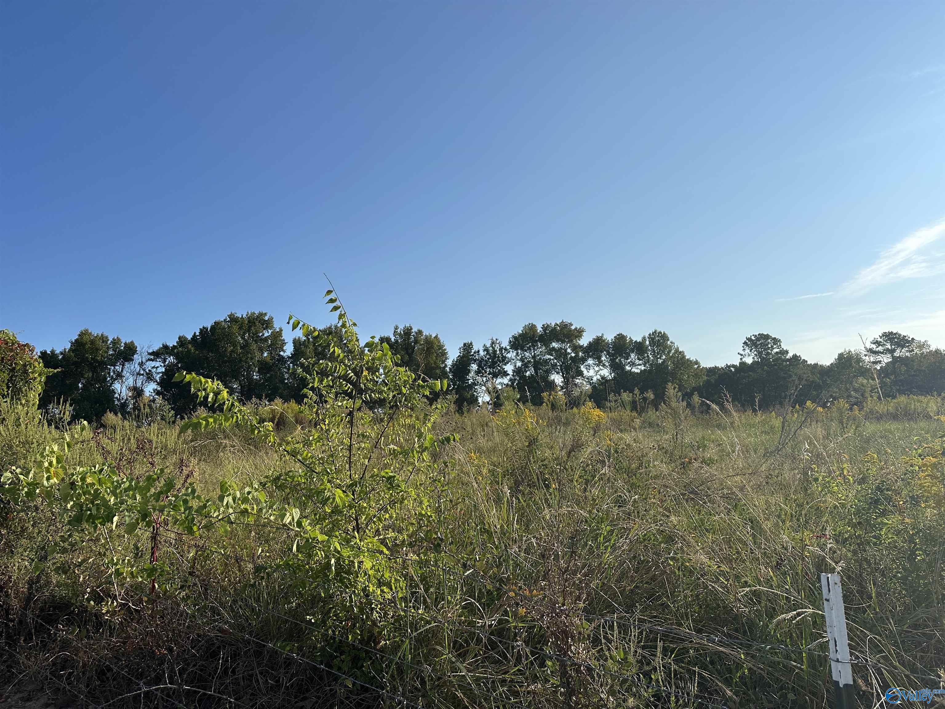 2 acres +/- Highway 231