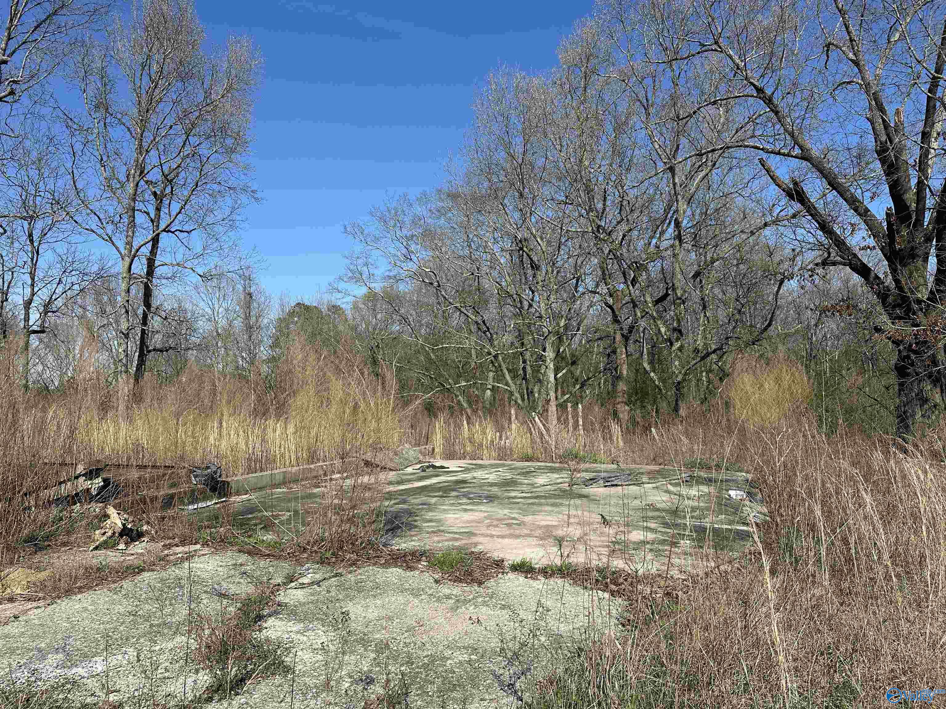 11292 Alabama Highway 67 S