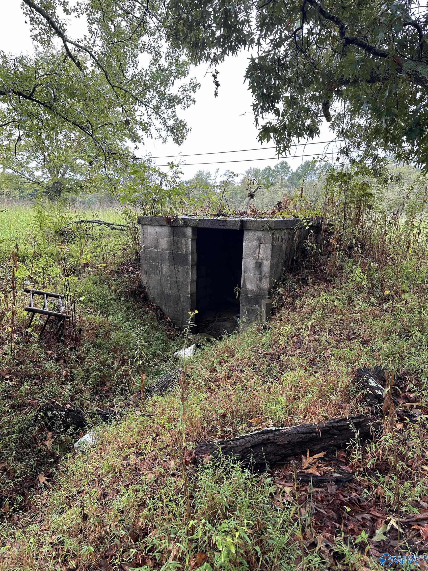 11292 Alabama Highway 67 S