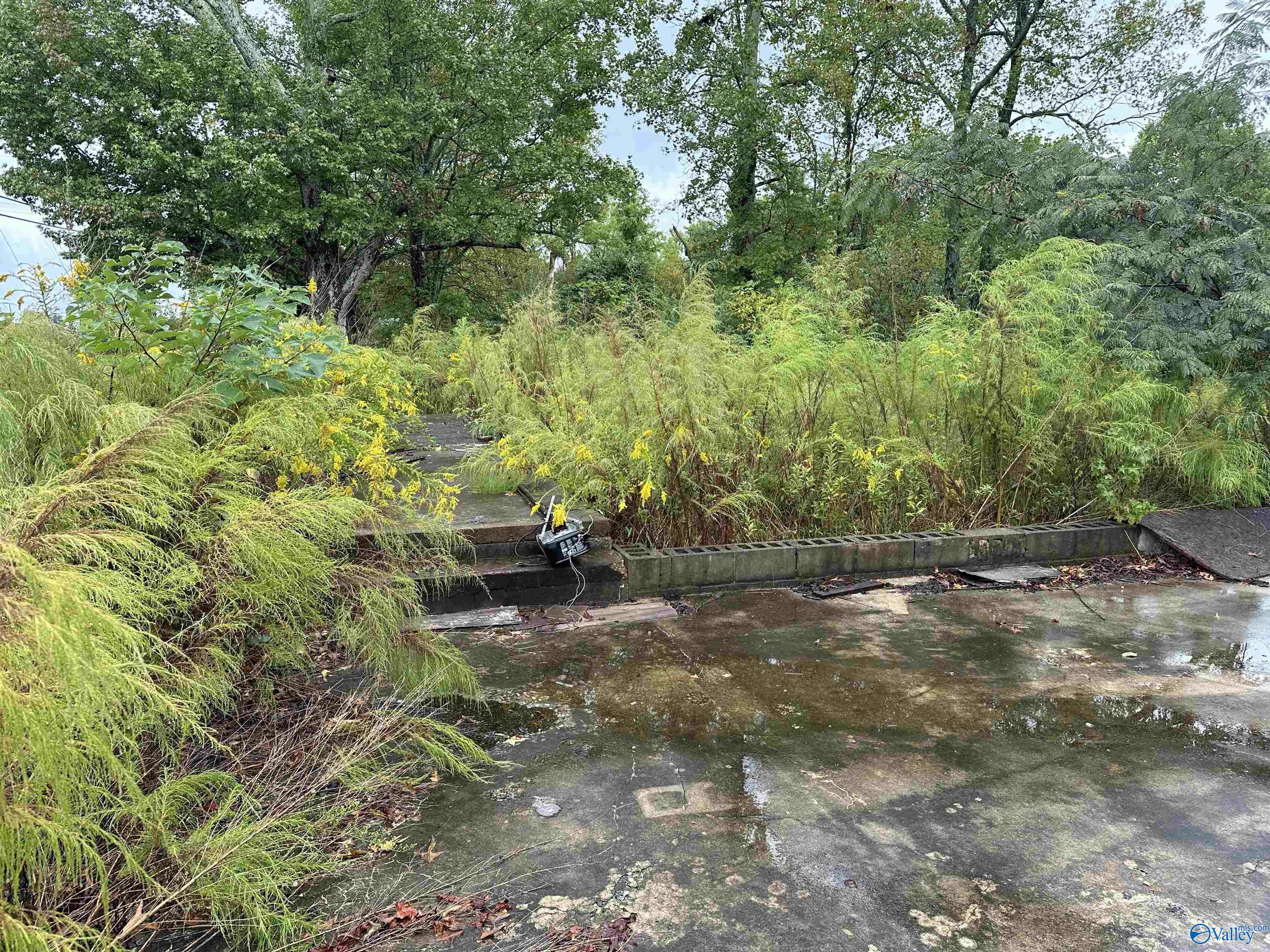 11292 Alabama Highway 67 S