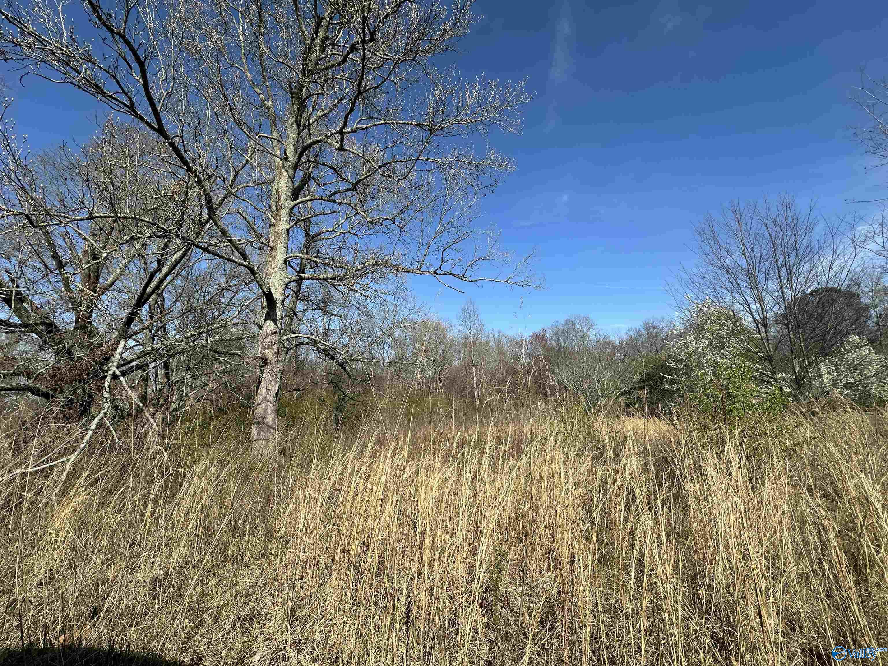 11292 Alabama Highway 67 S