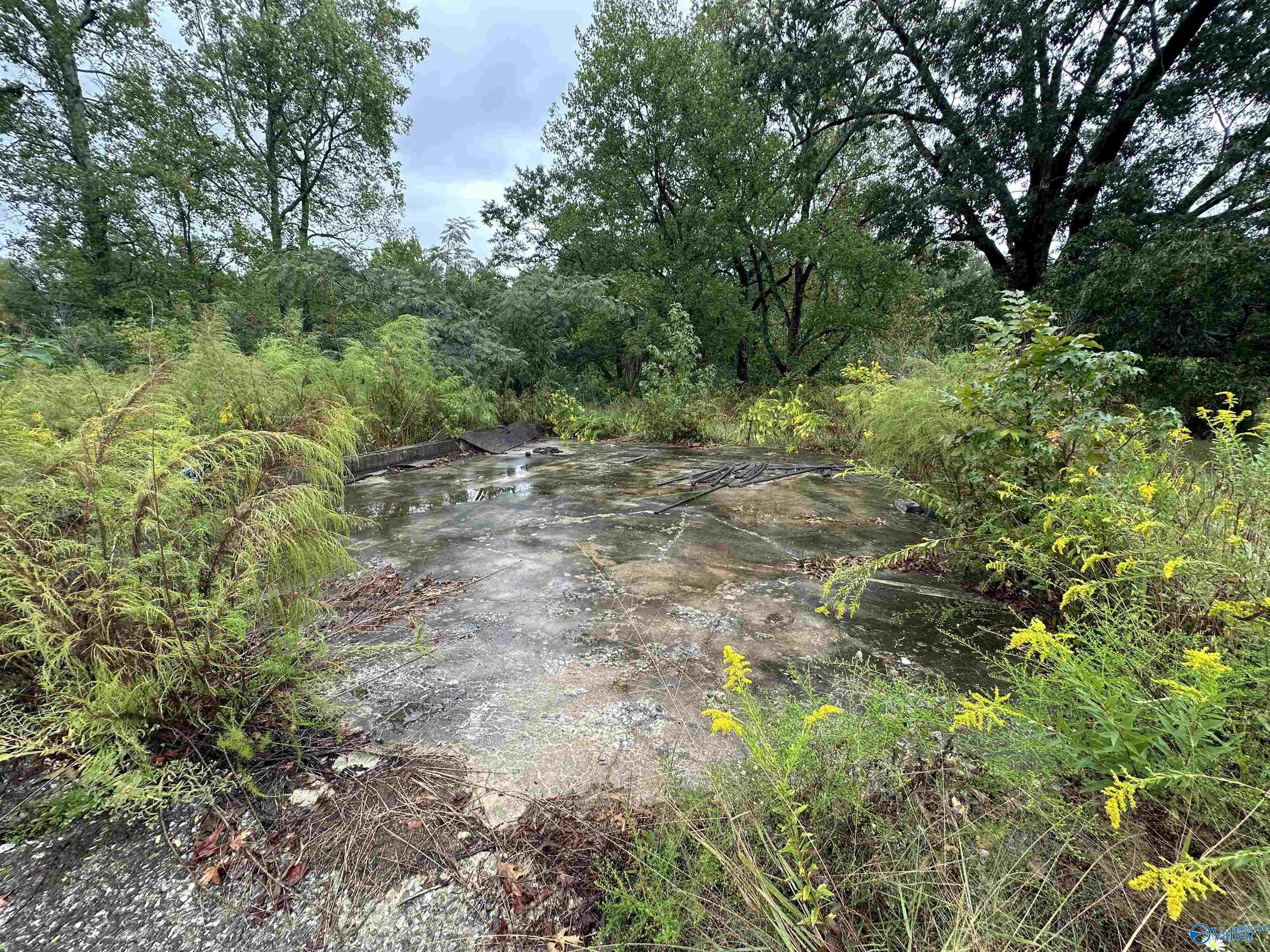 11292 Alabama Highway 67 S