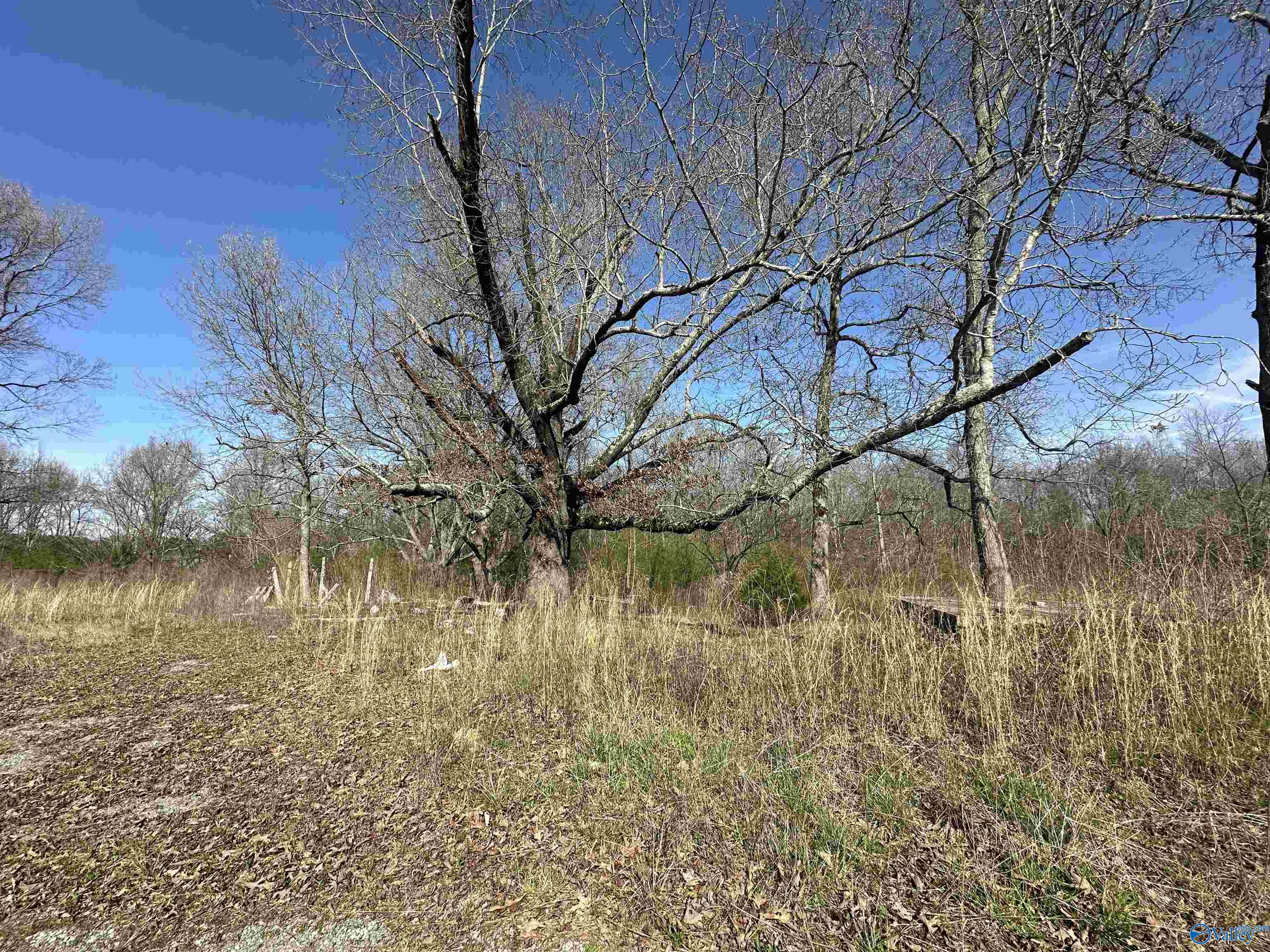 11292 Alabama Highway 67 S