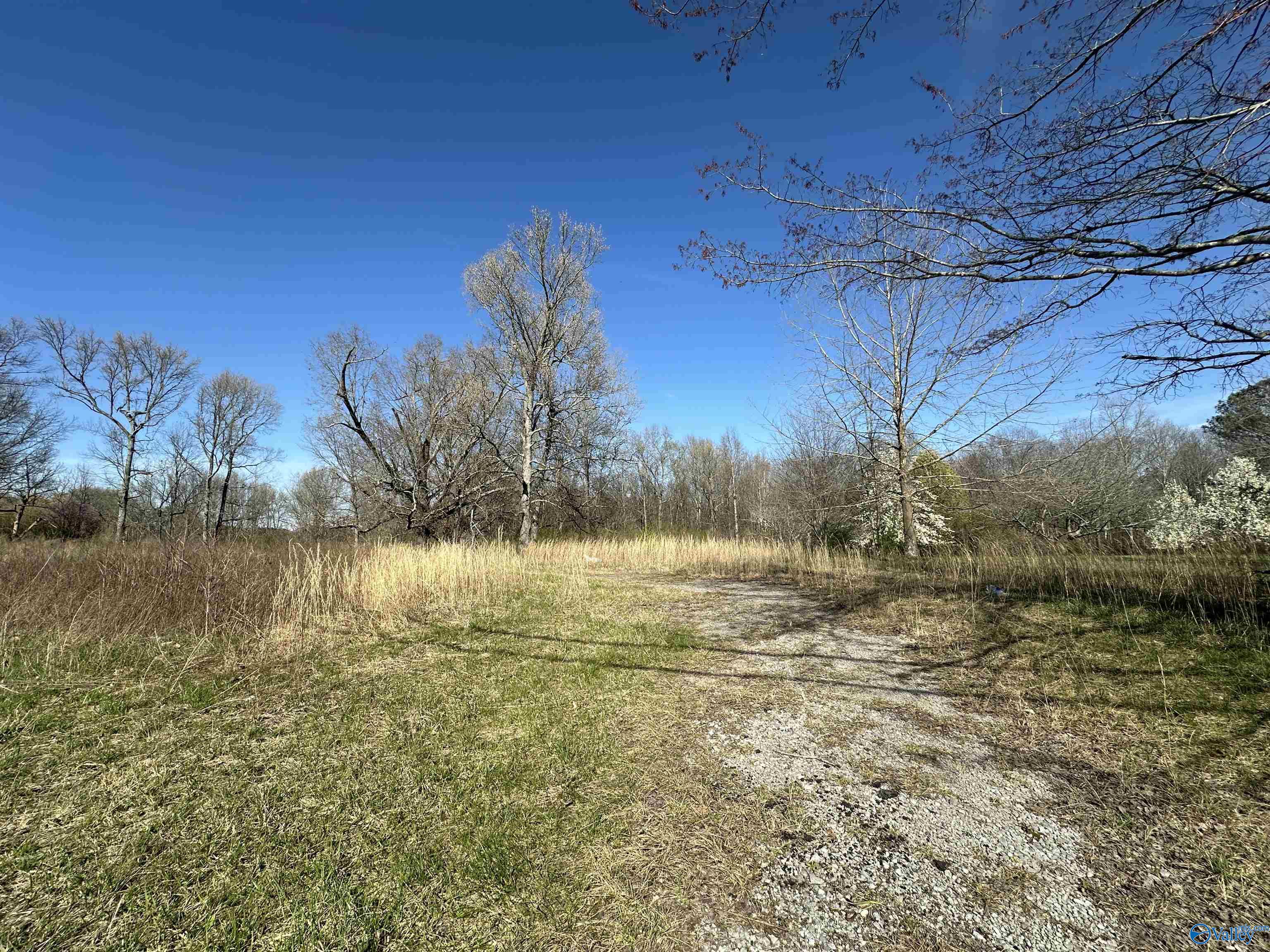 11292 Alabama Highway 67 S