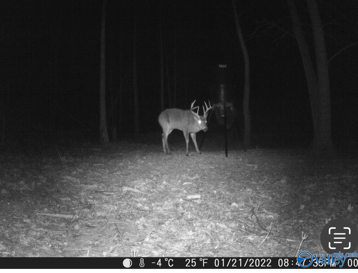 4001 County Road 138