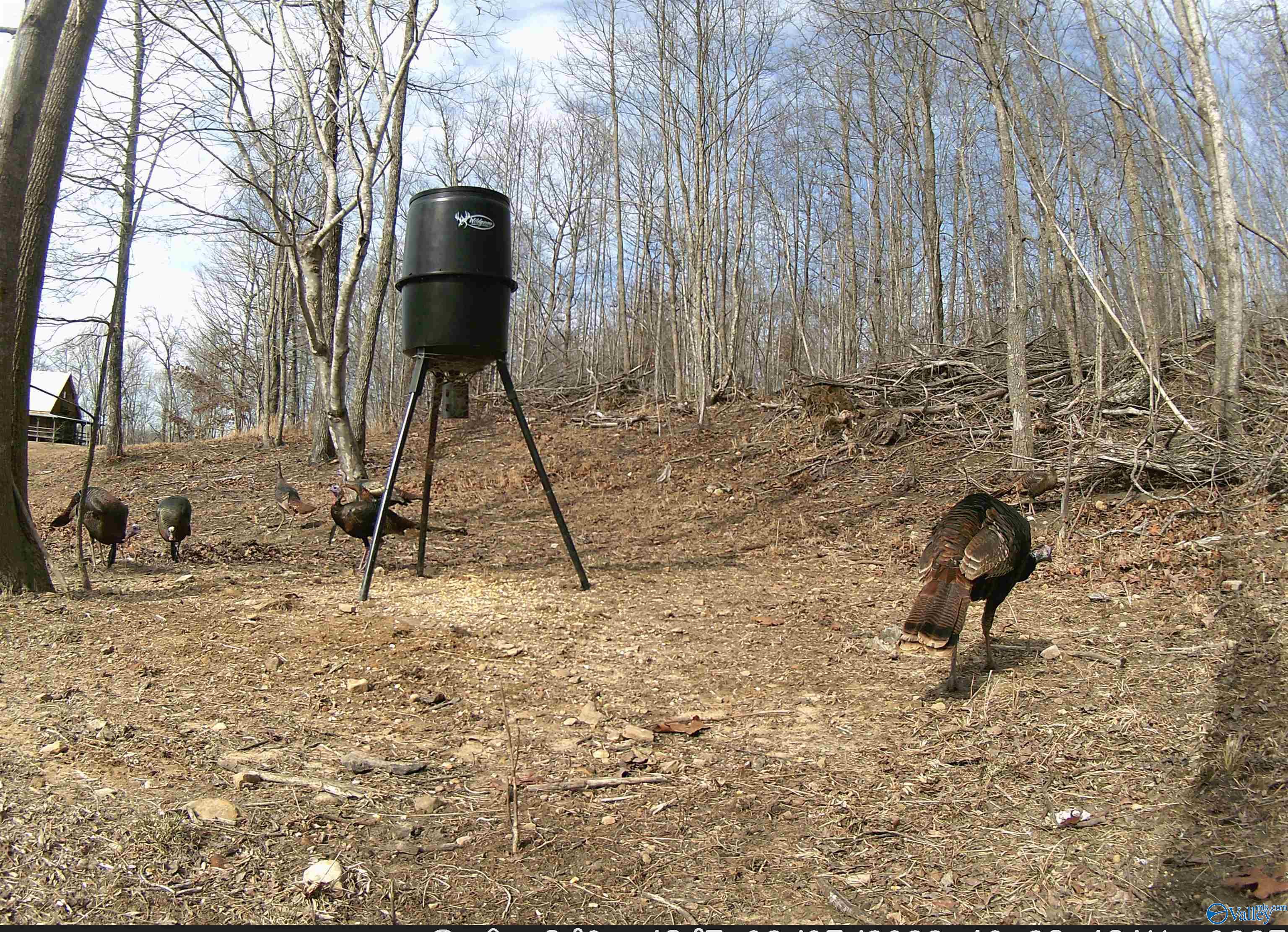 4001 County Road 138