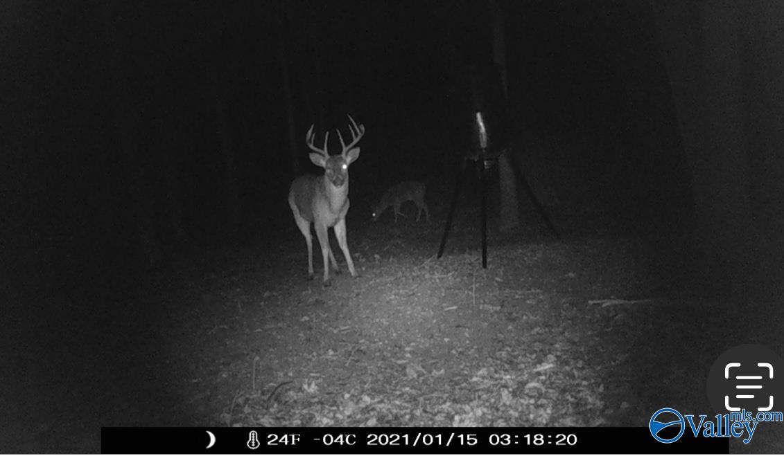 4001 County Road 138