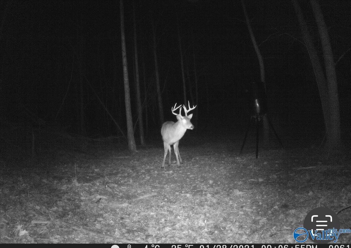 4001 County Road 138