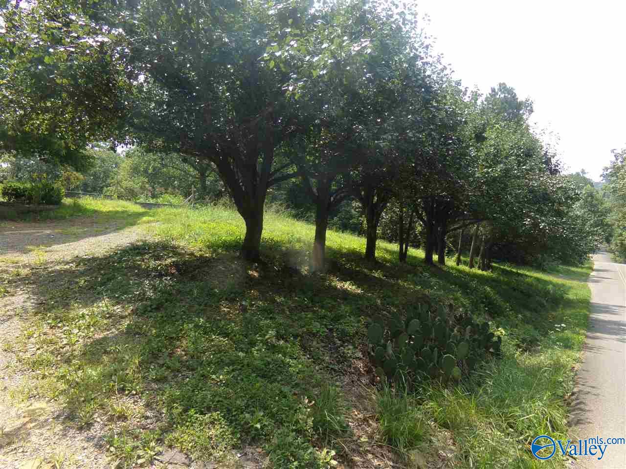 910 Swinging Bridge Road