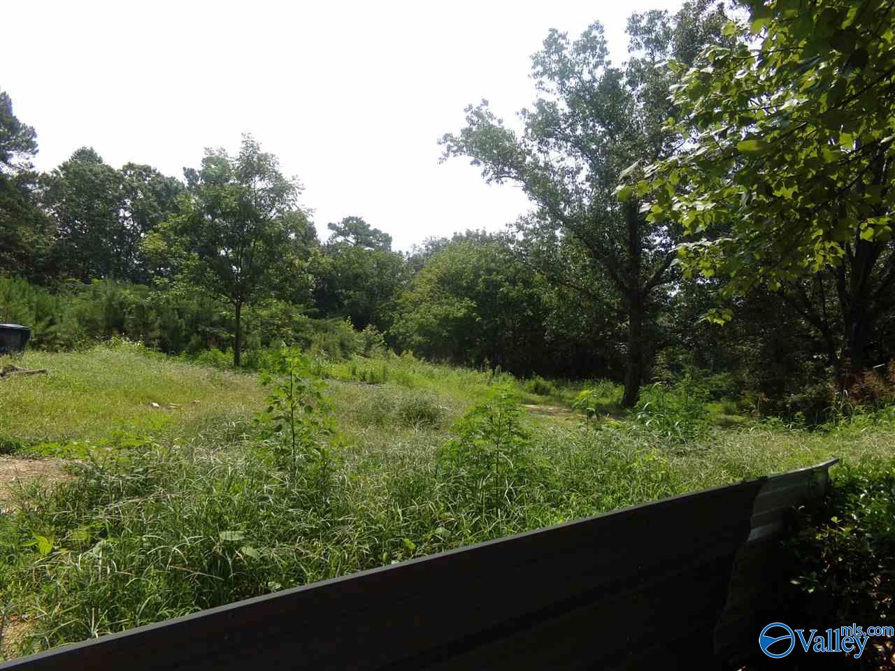 910 Swinging Bridge Road