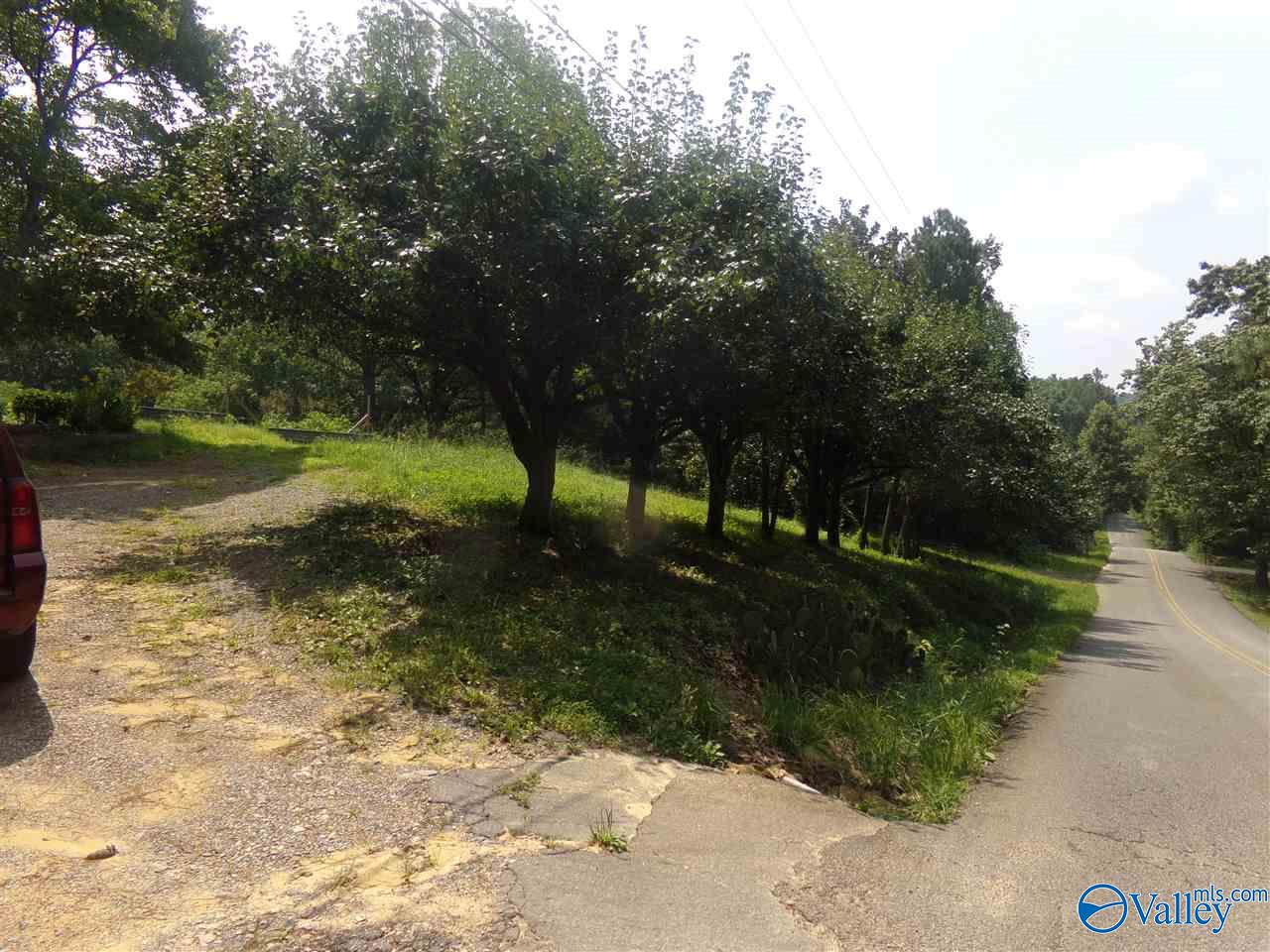 910 Swinging Bridge Road